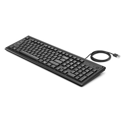 hp 100 (2un30aa) wired usb keyboard (black)